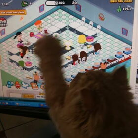 ff gamen