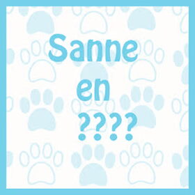 Hondenfoto van Sanne en doggy's