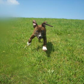 Woehoeee 14-4-2010