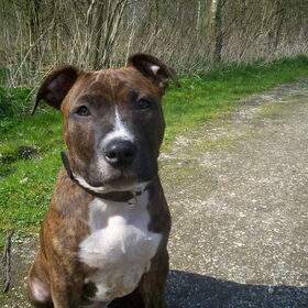 Wat een stoere vent 14-4-2010
