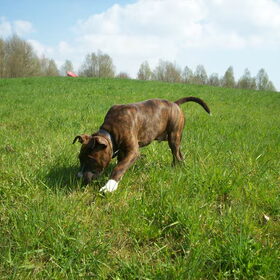 snuffel-tijd! 14-4-2010