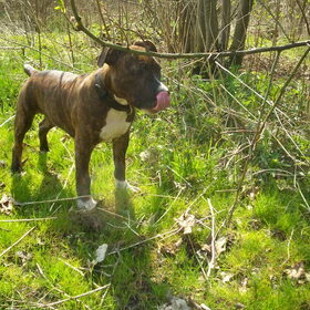 slik slik 14-4-2010