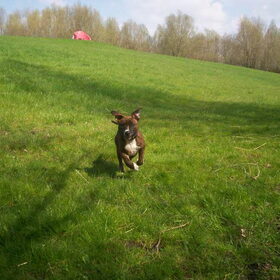 hier kom ik al hoor vrouwtje!! 14-4-2010