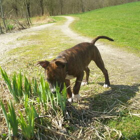 hey dit zijn lekker verse blaadjes zeg!! 14-4-2010