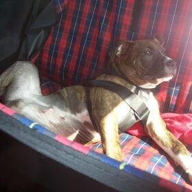 Chillen achterin de auto 14-4-2010