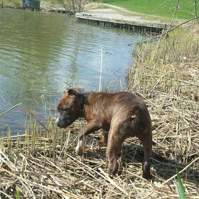 Hey dit is veel water zeg!! 14-4-2010