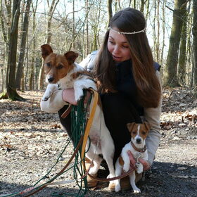Hondenfoto van Kirsten