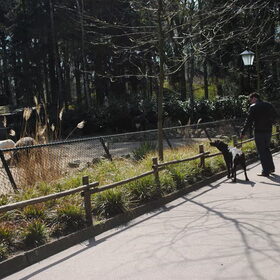 in de dierentuin