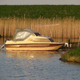 even een paar foto's buiten de tuin, voor school (beeldende…