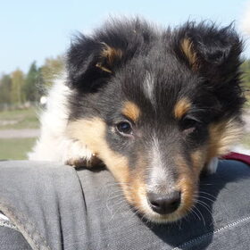 im in love.......