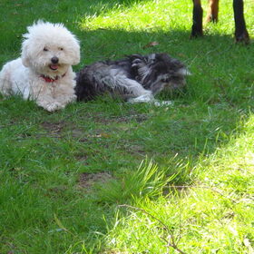Charly en Tommie