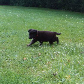 Wat was het toch een schatje he!
