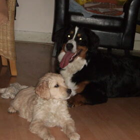 SASCHA EN AMY