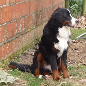Aiko 9 maand