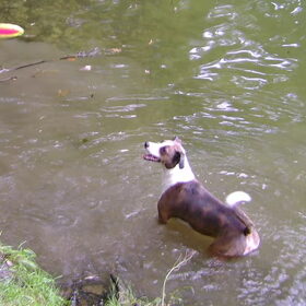 Frisbeeeeeee!!!!
