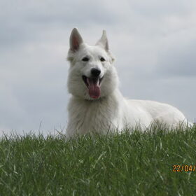 Miss Gina
