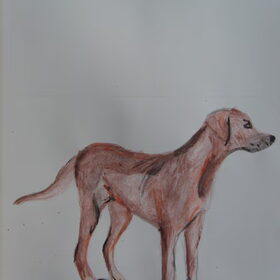 Hond geschilderd van pascalle.