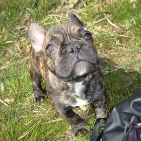 knapperd!