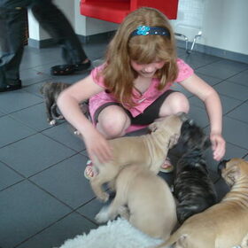 De kinderen van mijn broer vonden al die pups geweldig!