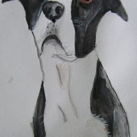 Hond getekend van Anita matchy was helaas mislukt maar spike…