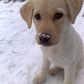 1e ker sneeuw! En ik vind het zoooo leuk!!:)