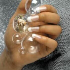 bellen blazen