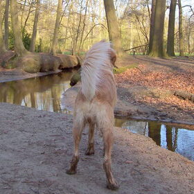 Matchy op de uitkijk...