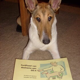 Sandy (7 M) met haar net behaalde GG-a diploma !