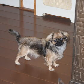 Zoey 23-11. Wat wordt ze al "groot" he?