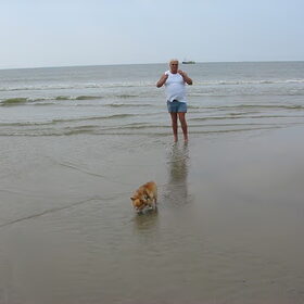 ik baasje van Carlos (Chihuahua) op het strand van carlantsoog…