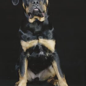 Photoshoot 1 Bear