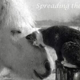 Zo lief!