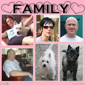 Mijn familie samen.