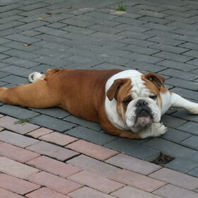 zo lig ik het liefst hahahaha