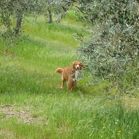 de eerste wandeling in italie