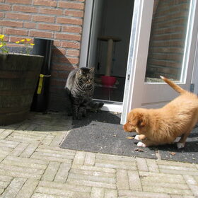 Joepie spelen met Prupke! Vindt hij leuk joh!