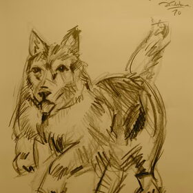 Tekening laten maken van Aïcha