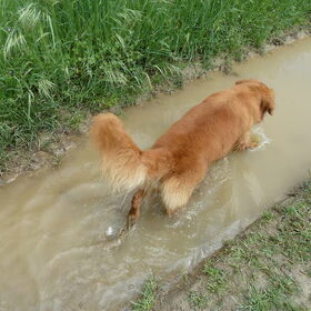 nog meer water pootje baaien