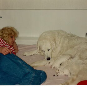 A-nest van Chiran. Samen puppies zogen!!