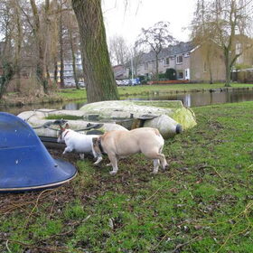 milo en noa aan het snuffelen