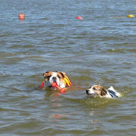 waterratten tessa en amber