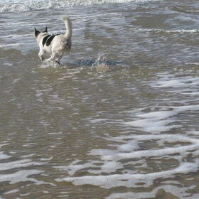 oow cool die golven