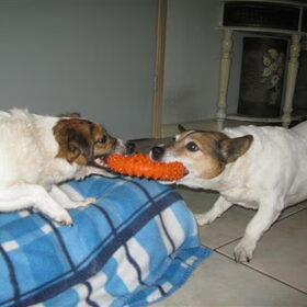 spelen !!