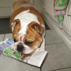de krant is er !!
