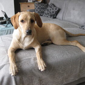 Kira! vriendinnetje voor Max, en ons nieuw kindje!