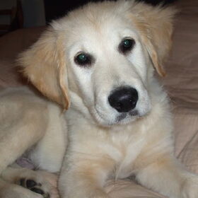 Lief!!