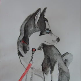 hond Dazey getekend voor Ilse