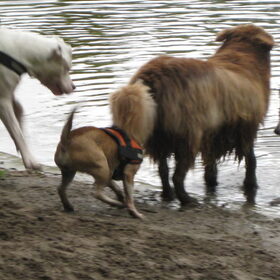 HP wandeling 13 05 2010 (8)