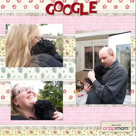 compilage van puppyknuffelen met 6 weken oud.