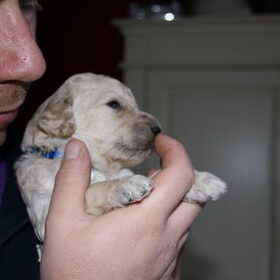baasje met lorenzo.. aaaach wat een schatje